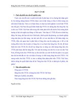 Tiểu luận hàng hóa trên thị trường chứng khoán và định giá cổ phiếu, trái phiếu 