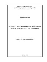 Nghiên cứu vi tảo biển dị dưỡng thraustchytrids ở rừng ngập mặn xuân thủy, nam định 