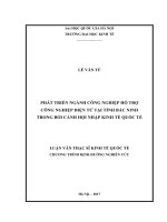 Phát triển ngành công nghiệp hỗ trợ công nghiệp điện tử tại tỉnh bắc ninh trong bối cảnh hội nhập kinh tế quốc tế 