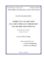 Nghiên cứu các kiểu gen của vi rút viêm gan C ở bệnh nhân ung thư biểu mô tế bào gan (FULL TEXT)