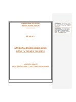 Xây dựng bản đồ chiến lược công ty truyền tải điện 1 