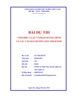 Bài dự thi tìm hiểu Luật  xử lý vi phạm hành chính và các văn bản hướng dẫn thi hành (1)