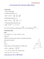 CHUYÊN ĐỀ TAM GIÁC ĐỒNG DẠNG