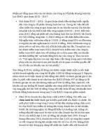 Nhận xét tổng quan báo cáo tài chính của công ty cổ phần hoàng anh gia lai giai đoạn 20122017