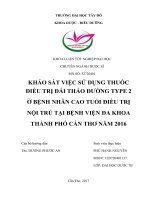 Khảo sát tình hình sử dụng thuốc điều trị đái tháo đường type 2 ở bệnh nhân cao tuổi điều trị nội trú tại bệnh viên đa khoa TP cần thơ năm 2016 