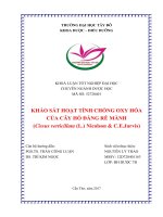 Khảo sát hoạt tính chống oxy hóa của cây hồ đằng rễ mành (cissus verticillata (l ) nicolson  c e jarvis)