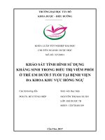 Khảo sát tình hình sử dụng kháng sinh trong điều trị bệnh viêm phổi ở trẻ em dưới 5 tuổi tại bệnh viện đa khoa khu vực hồng ngự 