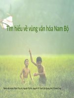 Tìm hiểu về vùng văn hóa Nam Bộ