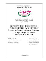 Khảo sát tình hình sử dụng thuốc điều trị tăng huyết áp ở bệnh nhân đái tháo đường typ 2 tại bệnh viện đa khoa thành phố cần thơ 