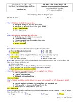 cau hoi trac nghiem bao hiem van tai bien