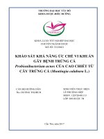 Khảo sát khả năng ức chế vi khuẩn gây bệnh mụn trứng cá propionibacterium acnes của cao chiết từ cây trứng cá (muntingia calabura l )