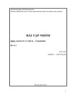 Bài tập nhóm môn kinh tế vi mô 2