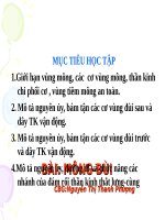 GIẢI PHẪU VÙNG MÔNG ĐÙI