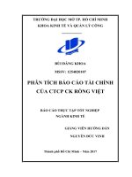 Phân tích báo cáo tài chính của CTCP chứng khoán rồng việt 