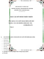 Ứng dụng chất HĐBM trong sản phẩm chăm sóc tóc