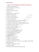 TRẠNG từ THƯỜNG gặp TRONG bài THI TOEIC