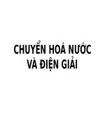 roi loan nuoc dien giai 