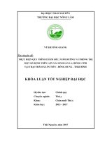 Quy trình thực hiện chăm sóc, nuôi dưỡng, khả năng sinh sản và phòng trị một số bệnh trên đàn lợn nái lai dòng CP90 tại trại Nhâm Xuân Tiến  Đông Hưng  Thái Bình (Khóa luận tốt nghiệp)