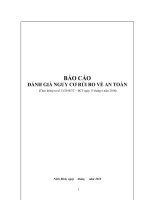 BÁO cáo ĐÁNH GIA NGUY cơ rủi RO về sử DỤNG VLNCN THEO TT 13