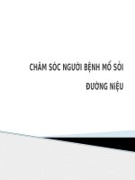 CHĂM sóc NGƯỜI BỆNH mổ sỏi ĐƯỜNG n 
