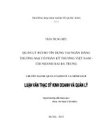 Luận văn thạc sỹ - Quản lý rủi ro tín dụng tại Ngân hàng TMCP kỹ thương Việt Nam - Chi nhánh Hai Bà Trưng