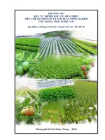 Phương án sản xuất nông nghiệp công nghệ cao