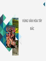 Đặc điểm vùng Tây Bắc Việt Nam