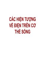 chuyên đề điện sinh vật học