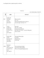 Giao án các môn học lớp 5 tuần 23 