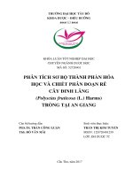 Khảo sát sơ bộ thành phần hóa học và chiết phân đoạn rễ cây đinh lăng 