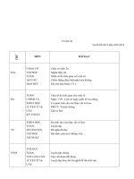 Giao án các môn học lớp 5 tuần 26 