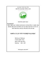 Thực hiện quy trình chăm sóc nuôi dưỡng và phòng trị bệnh cho lợn nái sinh sản tại trại lợn Bảy Tuân, Chương Mỹ  Hà Nội (Khóa luận tốt nghiệp)