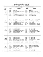 KẾ HOẠCH DẠY HỌC TUẦN 10