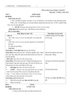 Giao án các môn học lớp 5 tuần 20 