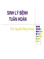 3  SINH lý BỆNH TUẦN HOÀN 