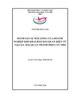 Đánh giá sự hài lòng của doanh nghiệp khi khai báo hải quan điện tử tại Cục Hải quan Thành phố Cần Thơ (Luận văn thạc sĩ)