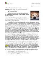 WorkbookEdition 6 do animals dream 