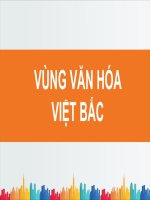 Đặc điểm vùng văn hóa Việt Bắc của Việt Nam