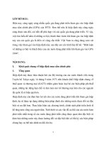 Bình luận về những cơ hội và thách thức của các nước đang phát triển khi tham gia vào GPA 1994 