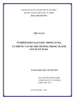 Ô NHIỄM KIM LOẠI NẶNG TRONG XI MẠ VÀ NHỮNG VẤN ĐỀ MÔI TRƯỜNG TRONG NGÀNH SẢN XUẤT XI MẠ