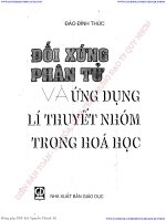 doi xung phan tu va ung dung li thuyet nhom trong hoa hoc dao dinh thuc