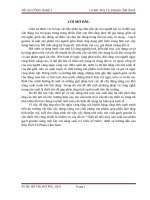 Đồ án granite sản xuất 2,5 triệu tấn năm