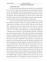 TIEU LUAN GIAI QUYET TINH HUAN VS NGAN SACH