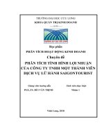 Phân tích tình hình lợi nhuận của công ty TNHH một thành viên dịch vụ lữ hành saigontourist