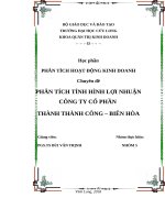 Phân tích tình hình lợi nhuận cho công ty cổ phần thành thành công   biên hòa