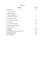 Vận dụng linh hoạt ứng dụng công nghệ thông tin nâng cao hiệu quả bài học, phát huy tính tích cực của học sinh trong dạy – học lịch sử 