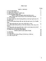 Một số biện pháp hướng dẫn học sinh lớp 5 giải toán về tỉ số phần trăm