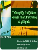 Tiểu luận thất nghiệp ở việt nam, thực trạng, nguyên nhân và giải pháp SLIDE 