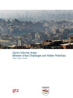 Cairos Informal Areas fulltext