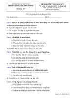 lý luận nhà nước về pháp luật